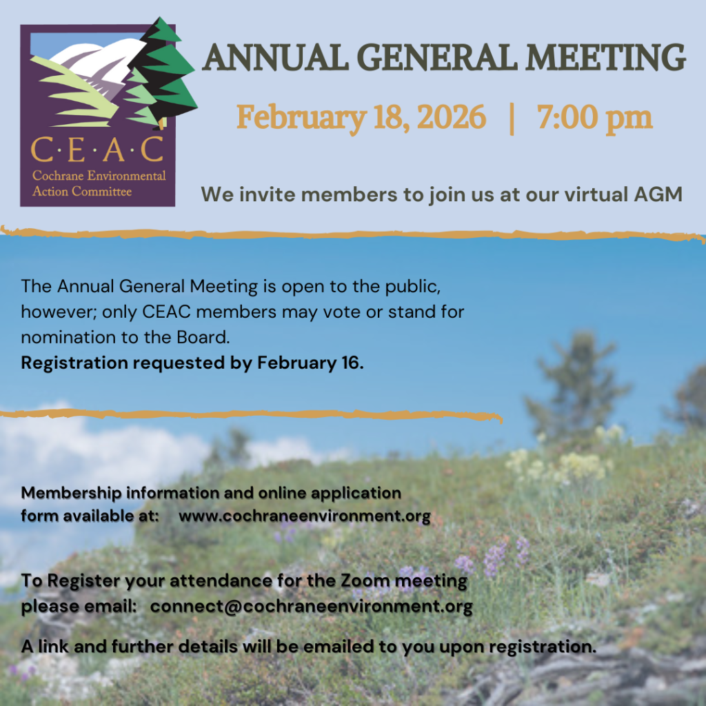 Invitation and information for 2026 Annual General Meeting.